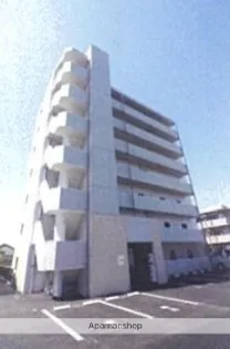 SALUDの画像
