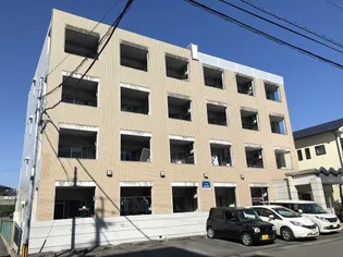 マーカス新大江の画像