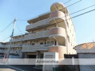 イー ストレインの画像