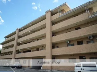 ファミール黒髪の画像