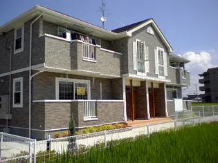 プラシード Bの画像