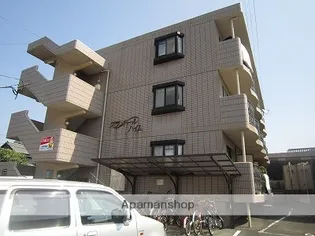 熊本県熊本市中央区琴平本町【マンション】の外観