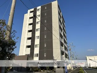VARI KIKUYOUの画像