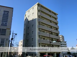 ステラ白山【6階】の外観