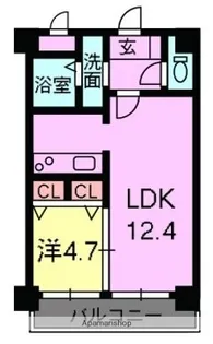 ステラ白山【6階】の間取り
