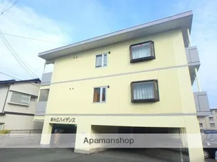 新大江ハイデンス【4階】の外観