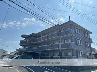 グレイシャスミユキの画像