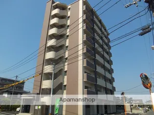 クィーンズくまなんの画像