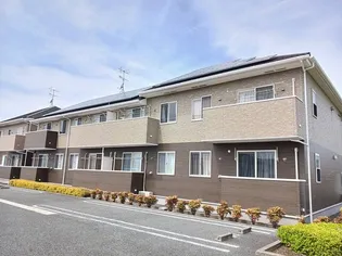 アングレカム Cの画像