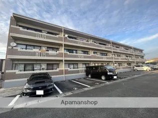 ブルック出水の画像