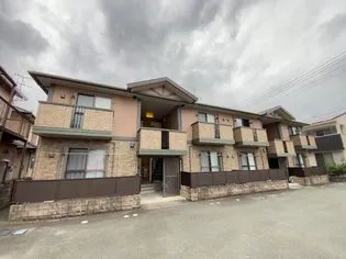 ウィルモアM&Mの画像