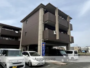 コンド リーザの画像