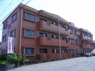 ハーモニー島村【301号室】の外観