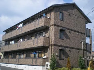 コートクロッカスの画像