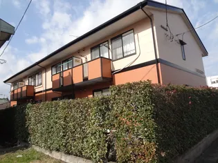 ハウスパピュラァの画像