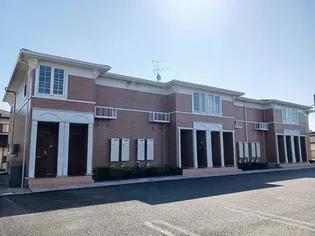 プリムローズ Mの画像