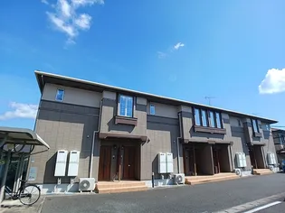 サンシャインナオコの画像