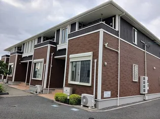 ダダ クラシックの画像