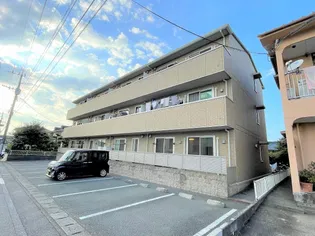 ライトプレーンの画像