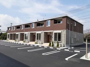 アミクール Cの画像