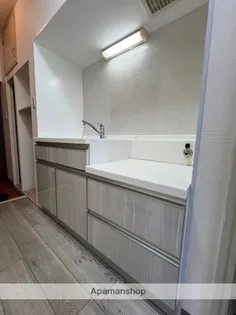 プレアール新大江【407号室】のキッチン