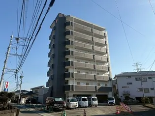 ラ シック光の森の画像