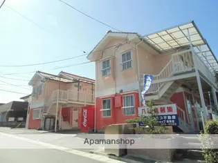 オレンジフローラIの画像