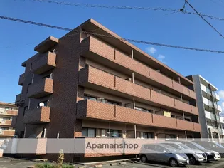 ショーンマンションの画像