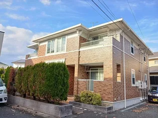 サンフラワーAの画像