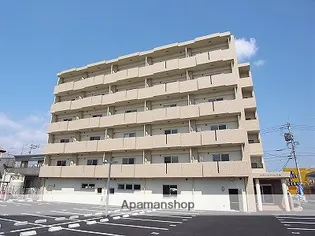 プラトゥー光の森の画像