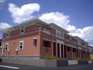 スプレン ディットの画像