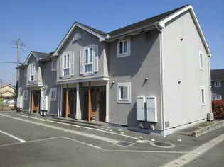 エレガントAの画像