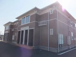 ひまわり Cの画像