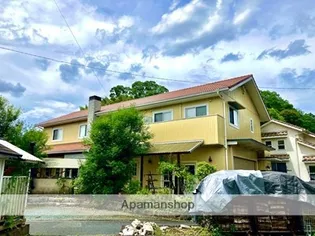 ゴンジーノの画像