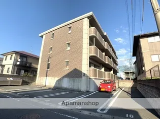 レアルコートの画像