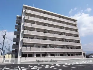 ミリーサ菊陽の画像