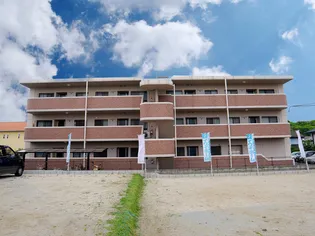 カンフォートの画像