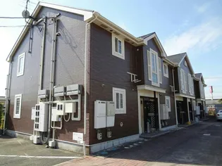 ショコラの画像