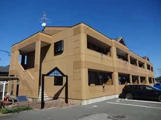 エバーグリーンの画像