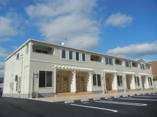 フロロース Bの画像