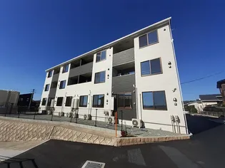 シャルマンビップIIの画像