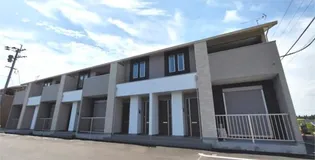 GRANDE ALBERO Bの画像