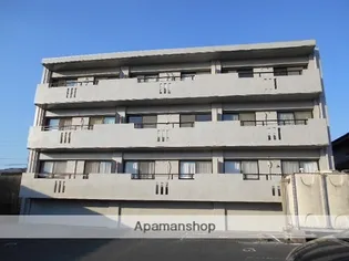 マーカス菊南の画像