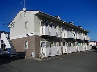 Mサンライズの画像