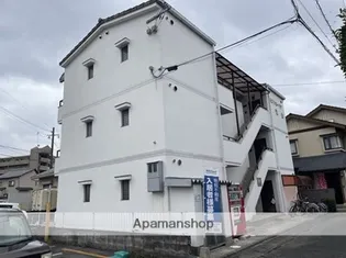 セントポーリア渡鹿の画像