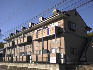 サンシャインハイツ【2階】の外観