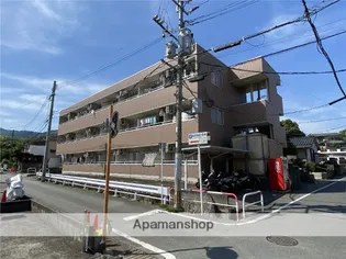 熊本県熊本市西区島崎5丁目【アパート】の外観