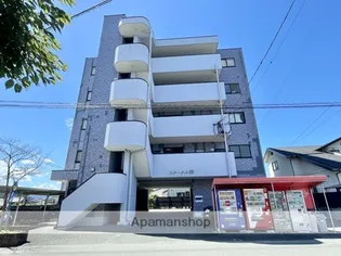 エターナル雅の画像