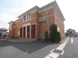 コンフォータブル ボニートの画像