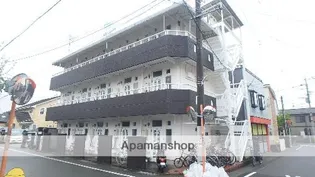 セザール新大江の画像